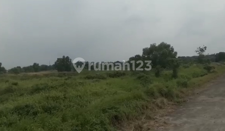 Dijual Tanah Industri / Pergudangan   Di Cikande, Serang , Banten 