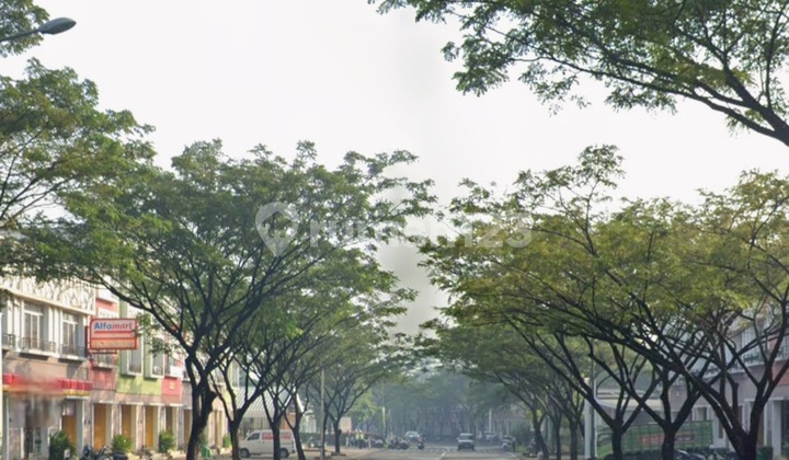 Ruko Natura City 3 Floors Strategic High Profit Potential 2