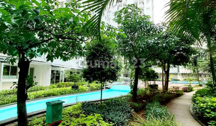 Apartemen Paragon 2 BR corner bagus cantik  7