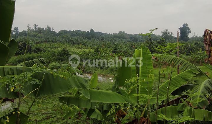 Tanah Di Pinggir Jalan Gading Serpong Dijual Cepat