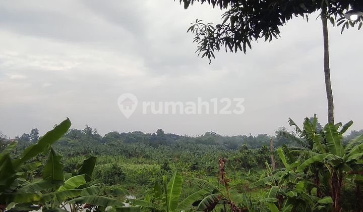 Tanah Di Pinggir Jalan Gading Serpong Dijual Cepat