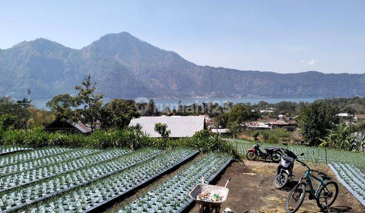 Lahan Tanah Viiew Danau Batur Area Villasangat Isitimewa Di Batur Kintamani 1