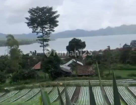 Tanah Dijual View Danau Sangat Menawan Di Kintamani Bangli 2