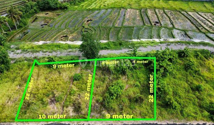 Tanah Hunian Villa Dijual Di Seseh Munggu Canggu 1