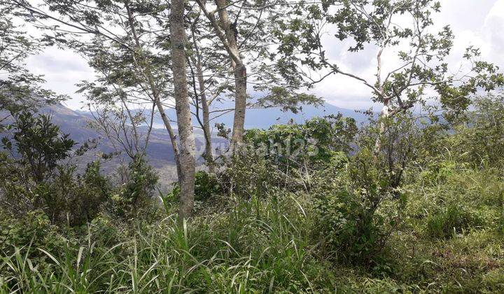 Land for rent in Batur Kintamani with mountain and lake views 2