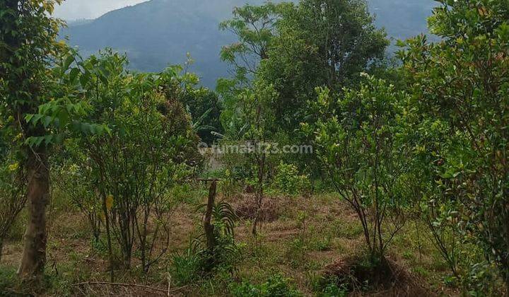 Selling mountain and lake view garden land in Kintamani 1