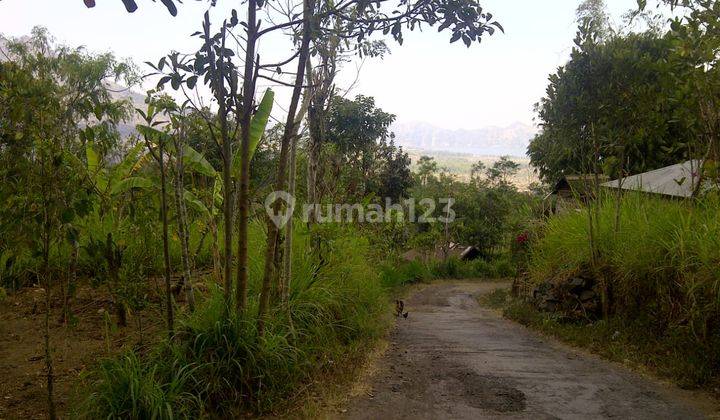 Selling mountain and lake view garden land in Kintamani 2