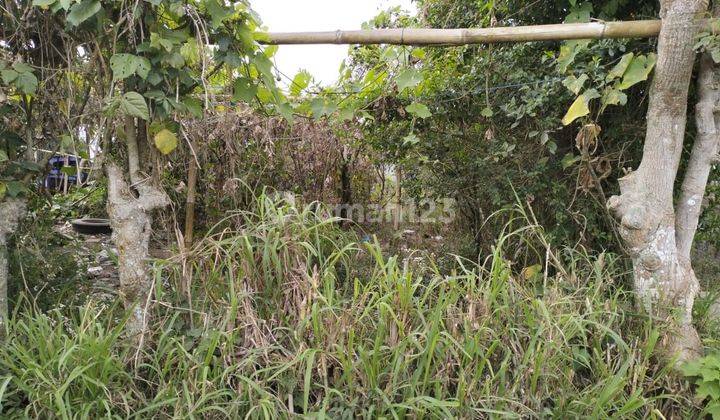 Flat land for rent in Kintamani Bangli village 2