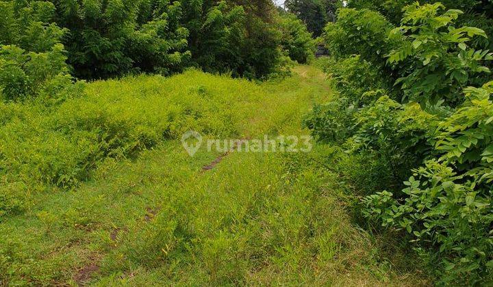 Selling land in Kutuh Nusa 2 price negotiable 2