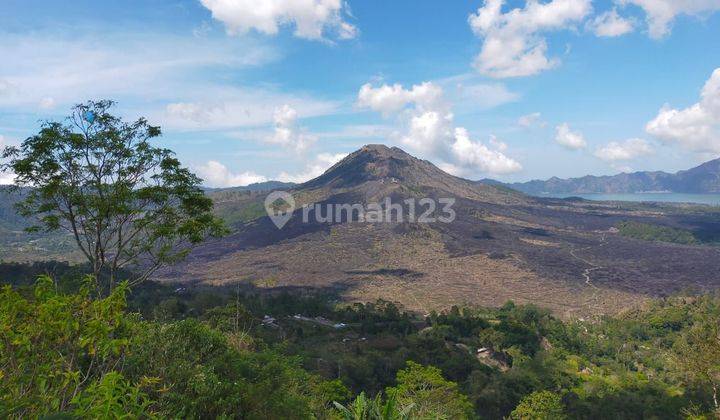 TANAH LOKASI KINTAMANI VIEW GUNUNG N DANAU SANGAT STRATEGIS 1