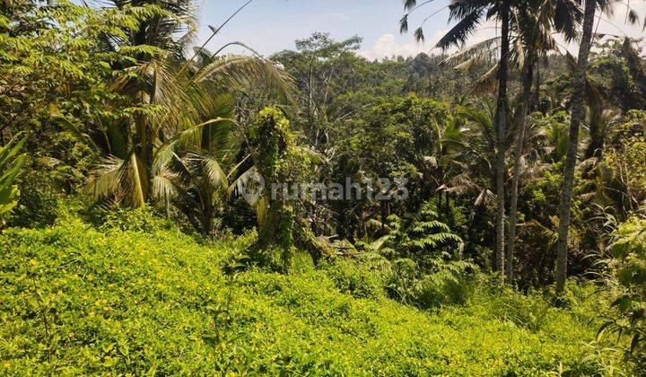 Jual tanah sawah di selamadeg tabanan bali 1