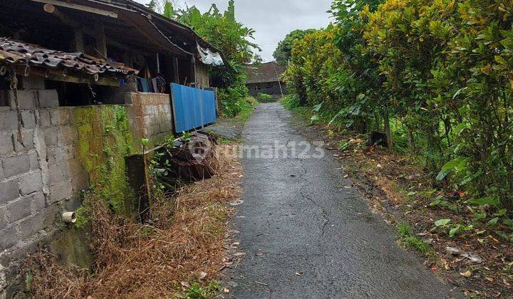 Tanah View Sawah N Lembah Di Tabanan Penatahan Jatiluwuh 2