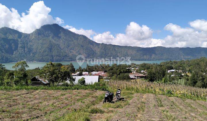 Lahan Tanah Viiew Danau Batur Area Villasangat Isitimewa Di Batur Kintamani 2