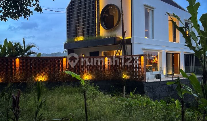 View Beautiful Rice Fields in Ubud View Beautiful Rice Fields in Ubud