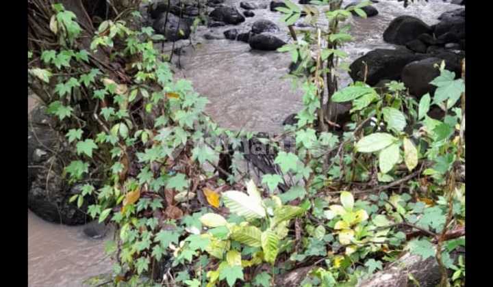 Land Loss River In Arrangement Near Hot Springs Harvest Tabanan Land Loss River In Arrangement Near Hot Springs Harvest Tabanan