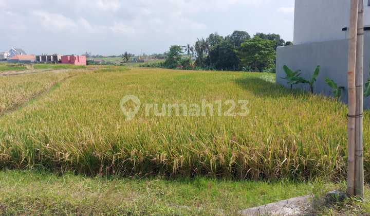 Land for Sale in Babakan Canggu Villa Area