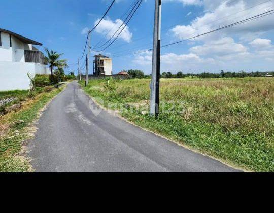 Tanah Strategis Di Pinggir Jalan Utama Pantai Cemagi Canggu 2