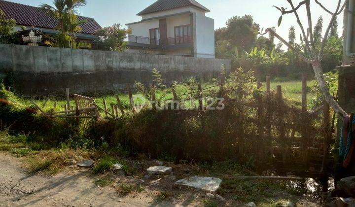 Tanah Premium Di Area Elit Renon Denpasar 1