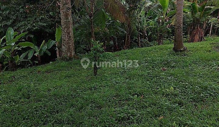 Tanah View Sawah N Lembah Di Tabanan Penatahan Jatiluwuh 1