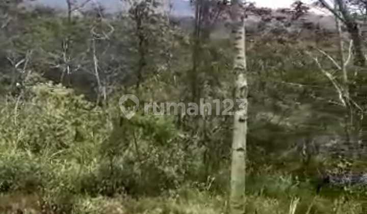 Leasehold Land with Stunning Views in Batur Kintamani