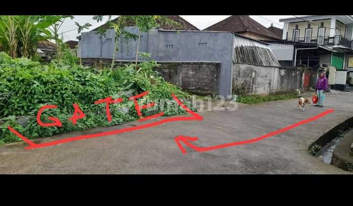 Land Loss River In Arrangement Near Hot Springs Harvest Tabanan Land Loss River In Arrangement Near Hot Springs Harvest Tabanan