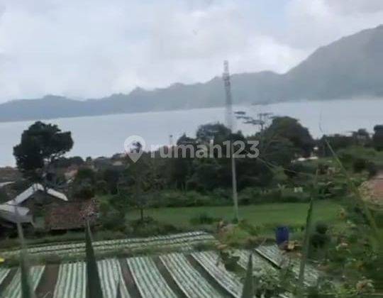 Tanah Dijual View Danau Sangat Menawan Di Kintamani Bangli 1