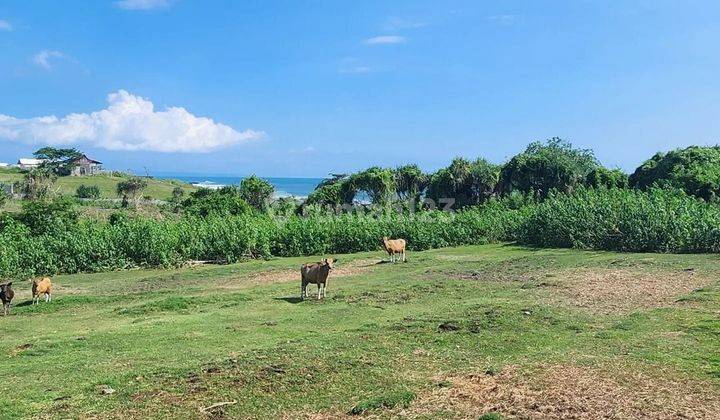 Tanah Los Tebing Pantai Nyanyi View Sangat Menawan 2