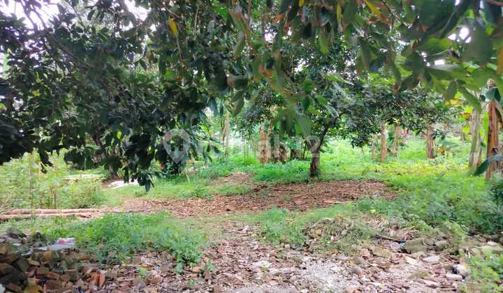 Tanah Strategis Bekasi Barat - 3.312M² Siap Dikembangkan, Harga 8 Jt/M² Nego