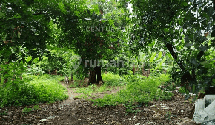 Tanah Kavling Luas dan Lokasi Strategis di Bintara Bekasi
