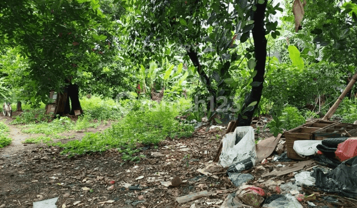 Tanah Kavling Luas dan Lokasi Strategis di Bintara Bekasi Tanah Kavling Luas dan Lokasi Strategis di Bintara Bekasi
