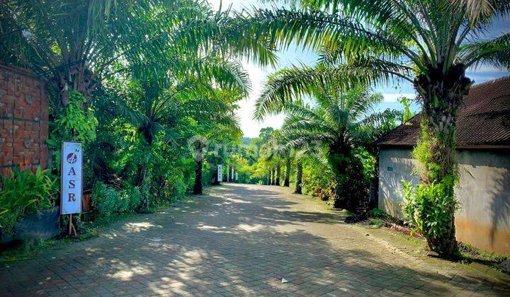 Rumah Murah Modern Minimalis 2 Lantai Full Furnishing 6