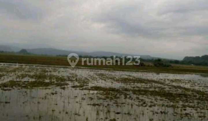 Dijual lahan sawah bisa peruntukan pabrik di bantimurung,sulawesi selatan