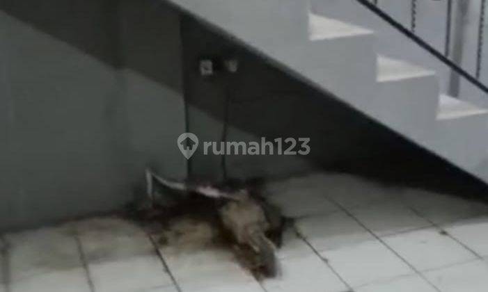 Disewakan Ruko 2.5 Lantai di Ratna Jatibening 9