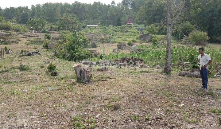 Investasi Terbaik Dijual Tanah Di Samosir 1