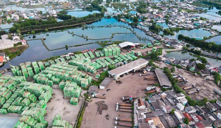 Dijual Lahan Bagus Untuk Komersil Di Marunda Jakarta Utara 2