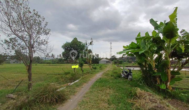 Tanah SHM 2.420 M di Sleman Timur 900 Meter Dari Rsud Prambanan 2