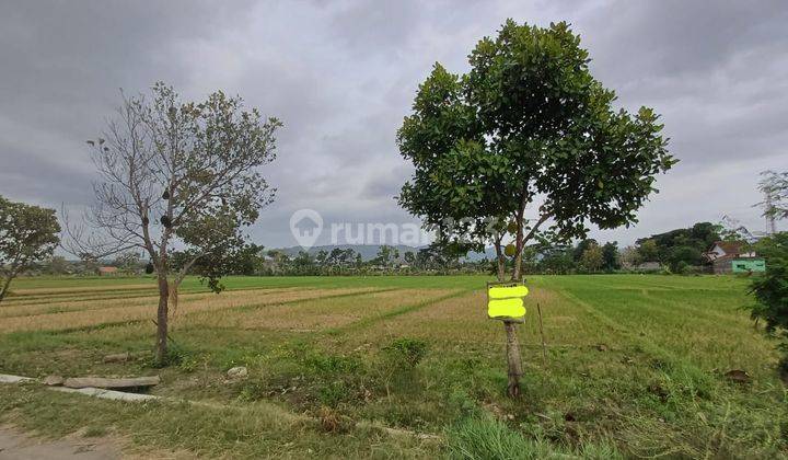 Tanah SHM 2.420 M di Sleman Timur 900 Meter Dari Rsud Prambanan 1