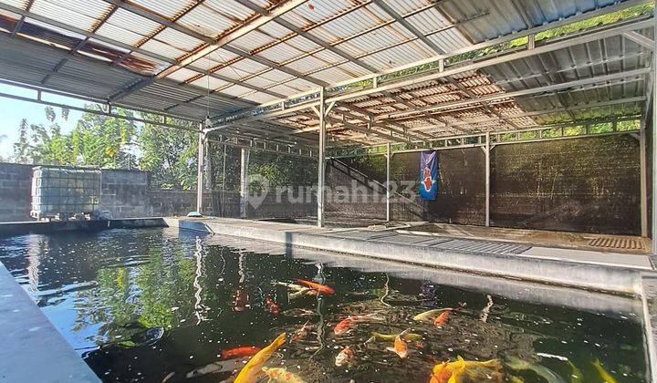 Rumah Bagus Siap Huni Halaman Luas 13 Menit Ke Rs Pku Gmping 2