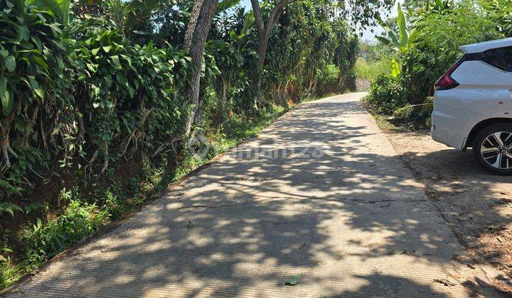 Tanah Di Cianjur Lengkap Dengan Kebun Limo Produktif  1