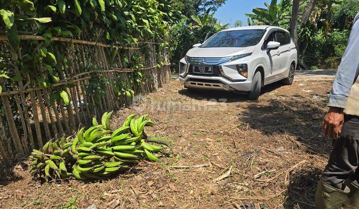 Tanah Terdapat Pohon Jeruk, Di Cianjur, Shm, 15 Menit Ke Kota 1