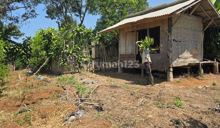 Tanah Terdapat Pohon Jeruk, Di Cianjur, Shm, 15 Menit Ke Kota 2