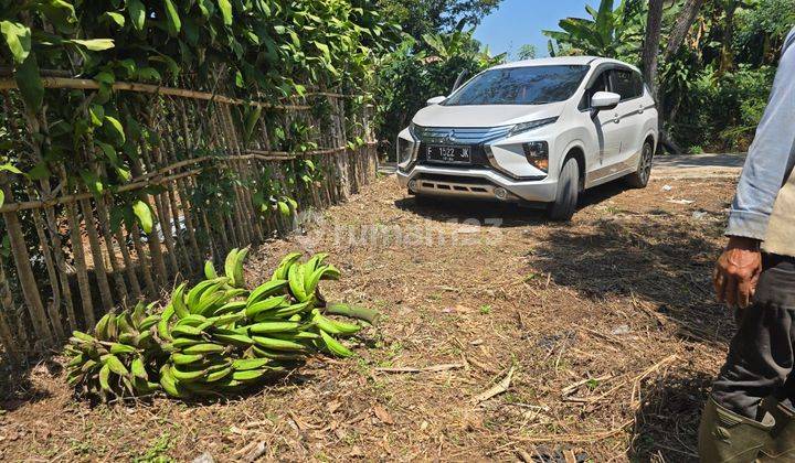 Beli Tanah Murah  Bonus 200 Pohon Jeruk Limo Di Cianjur 2