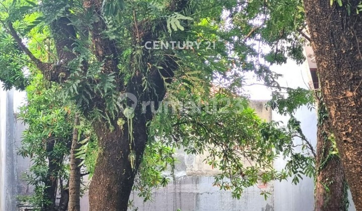 Quick Sale Puri Bintaro 8008 Plot Quick Sale Puri Bintaro 8008 Plot