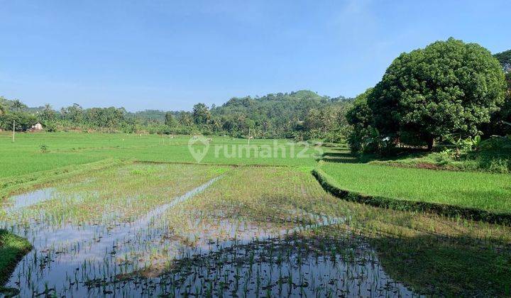 Tanah Murah Pemandangan Sawah dan Gunung sudah SHM 1