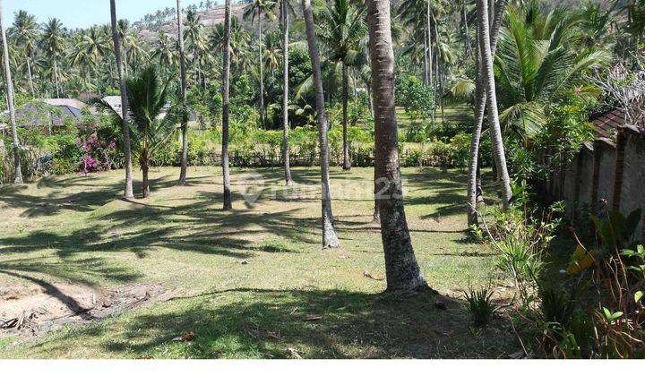 Dijual Tanah Shm Luas 5200 M² Di Ntb Strategis Daerah Wisata  1