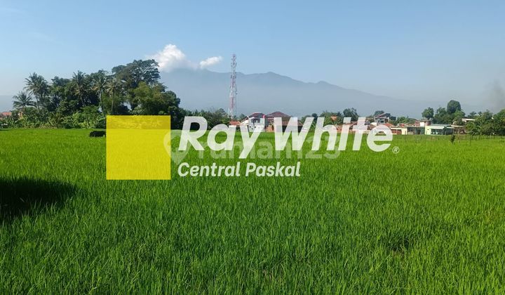 Tanah Sawah di Mainroad Soreang Al Fathu Bandung