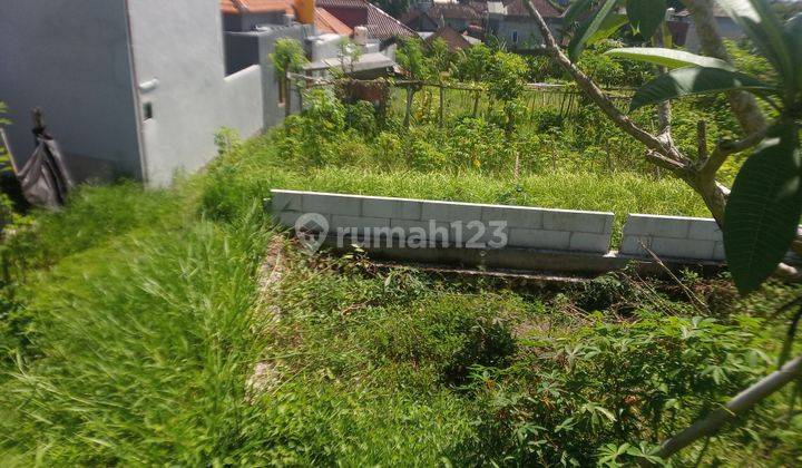 5 are Land for lease in canggu padonan 