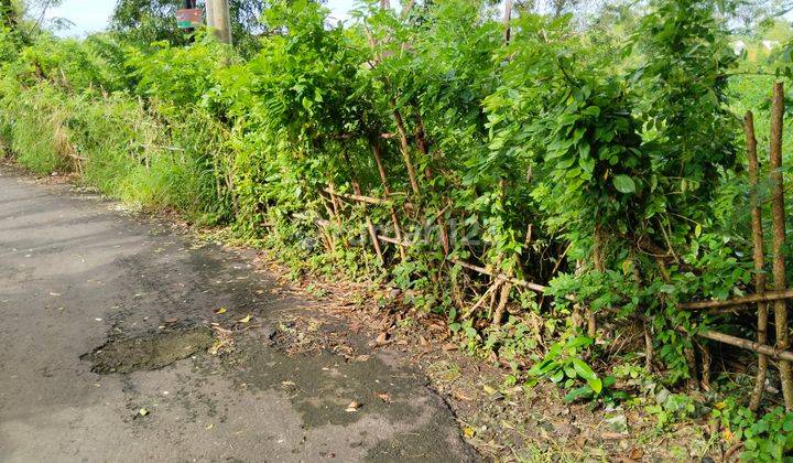 Land for Lease in Uluwatu 3