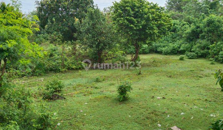 Land for Lease in nyang nyang beach uluwatu 1