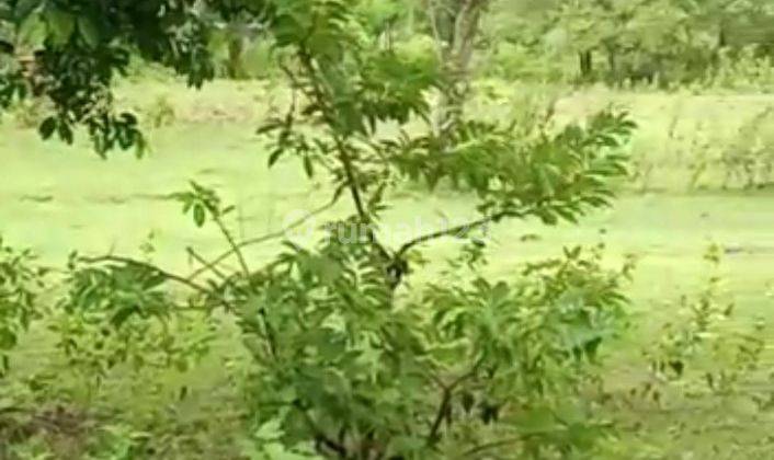 Land for Lease in Bingin Beach Uluwatu 1